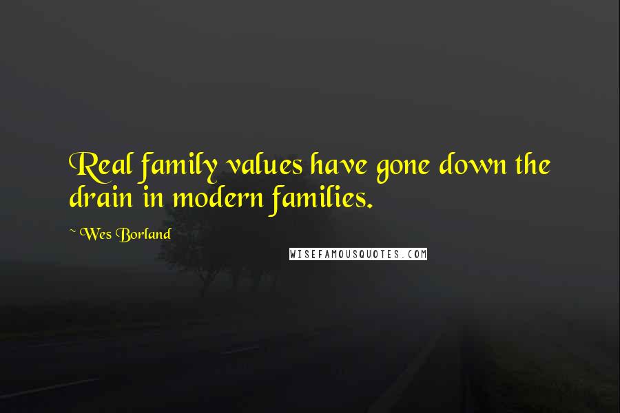 Wes Borland Quotes: Real family values have gone down the drain in modern families.