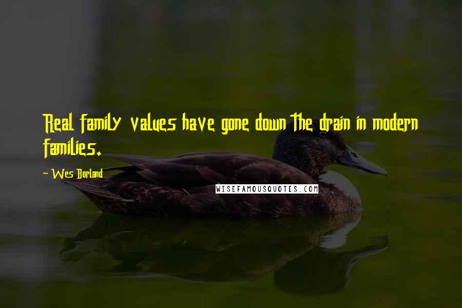 Wes Borland Quotes: Real family values have gone down the drain in modern families.