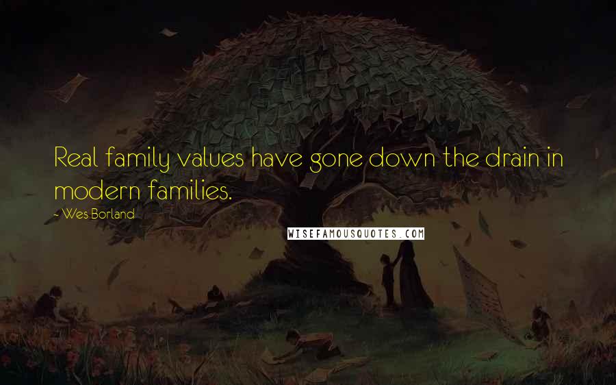 Wes Borland Quotes: Real family values have gone down the drain in modern families.