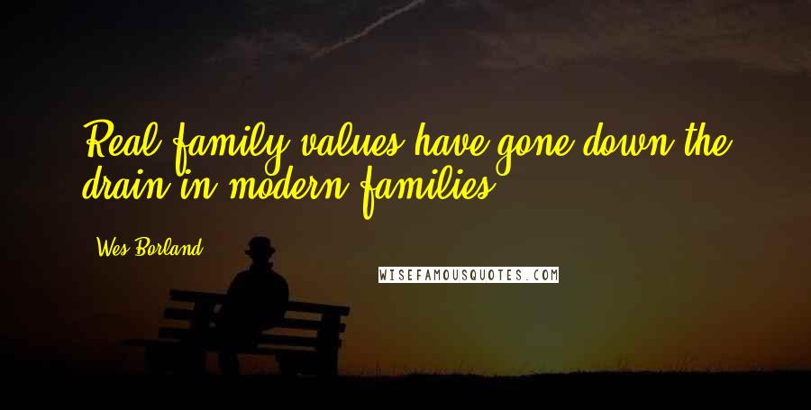 Wes Borland Quotes: Real family values have gone down the drain in modern families.