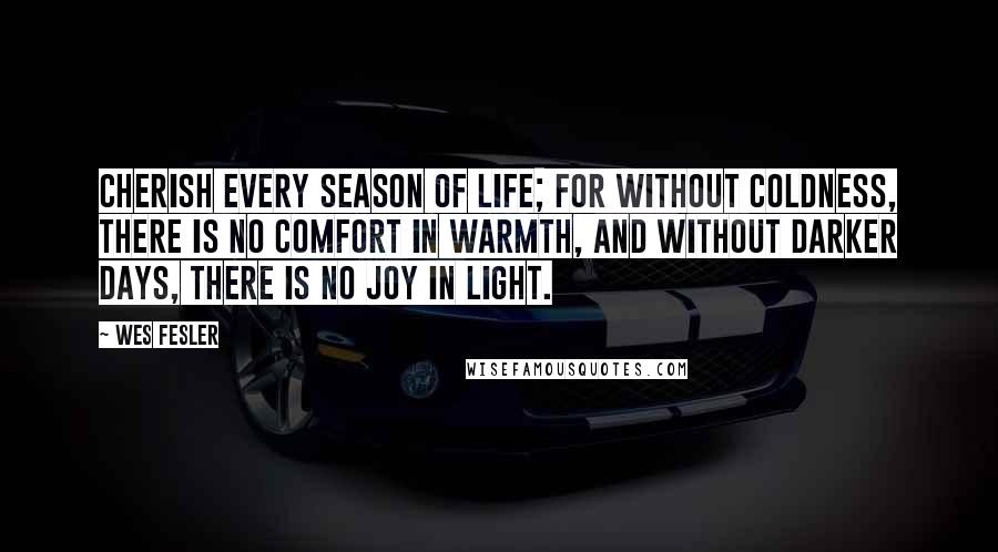 Wes Fesler Quotes: Cherish every season of life; for without coldness, there is no comfort in warmth, and without darker days, there is no joy in light.