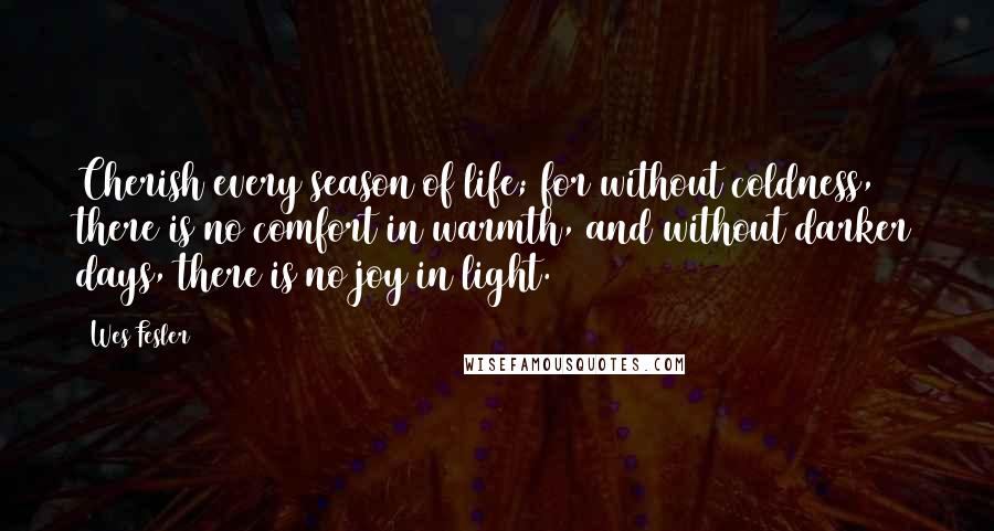 Wes Fesler Quotes: Cherish every season of life; for without coldness, there is no comfort in warmth, and without darker days, there is no joy in light.
