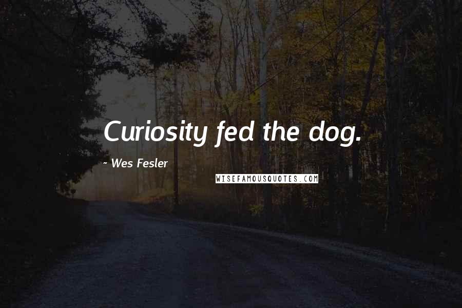 Wes Fesler Quotes: Curiosity fed the dog.