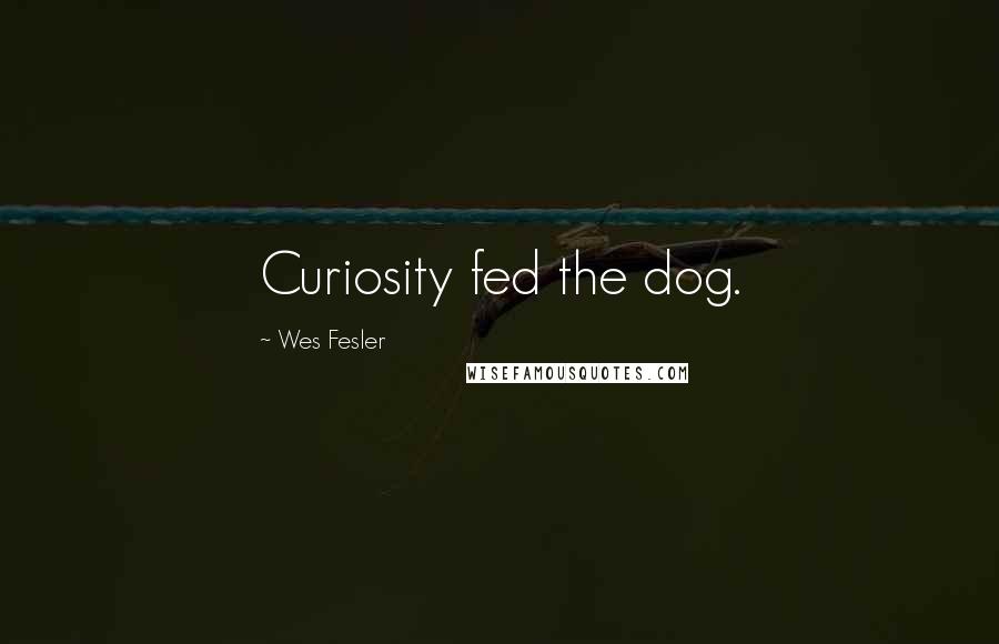 Wes Fesler Quotes: Curiosity fed the dog.