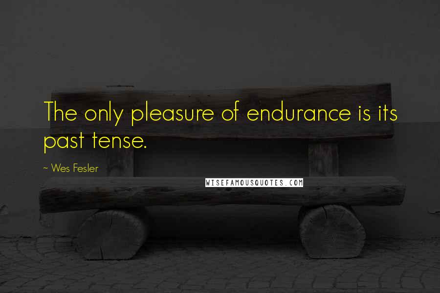 Wes Fesler Quotes: The only pleasure of endurance is its past tense.