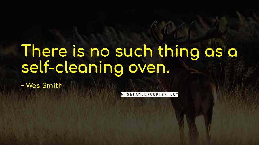 Wes Smith Quotes: There is no such thing as a self-cleaning oven.