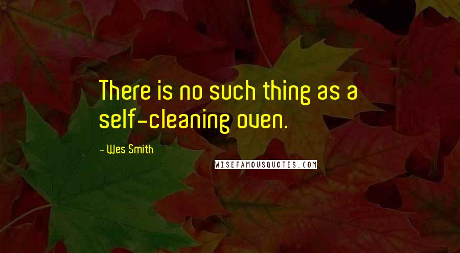Wes Smith Quotes: There is no such thing as a self-cleaning oven.