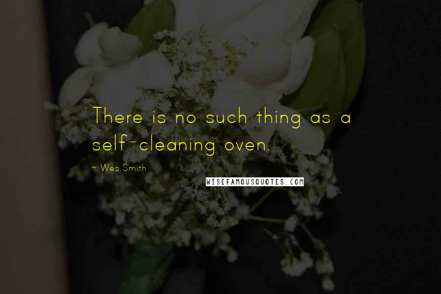 Wes Smith Quotes: There is no such thing as a self-cleaning oven.