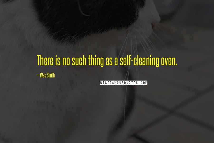 Wes Smith Quotes: There is no such thing as a self-cleaning oven.