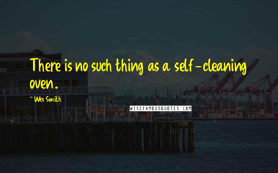 Wes Smith Quotes: There is no such thing as a self-cleaning oven.