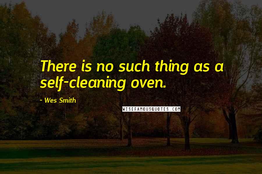 Wes Smith Quotes: There is no such thing as a self-cleaning oven.