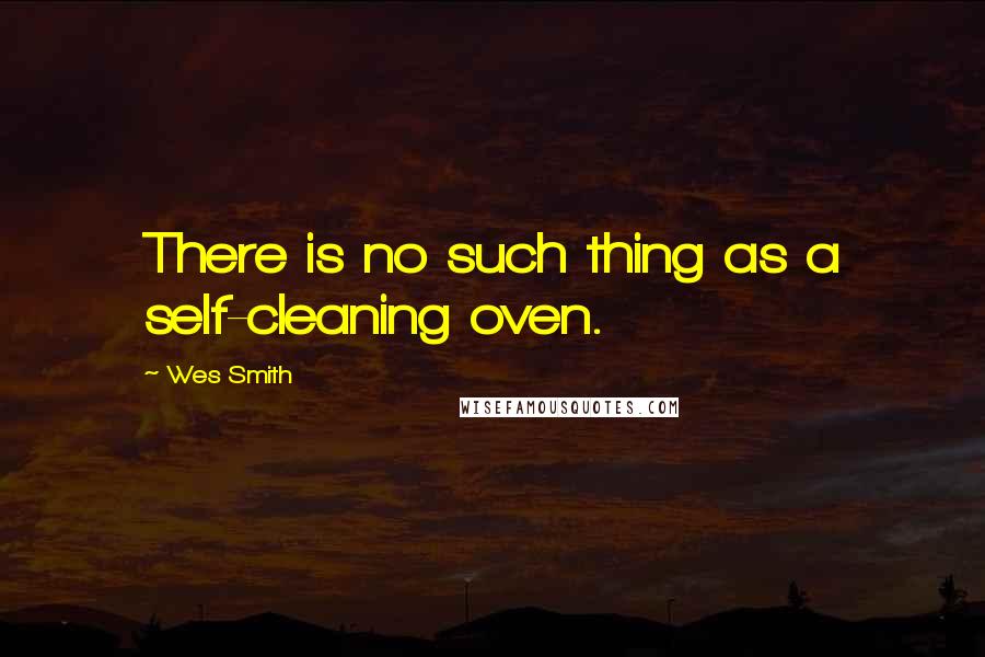 Wes Smith Quotes: There is no such thing as a self-cleaning oven.