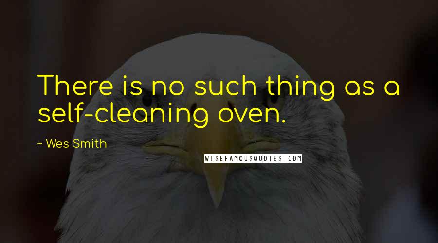 Wes Smith Quotes: There is no such thing as a self-cleaning oven.