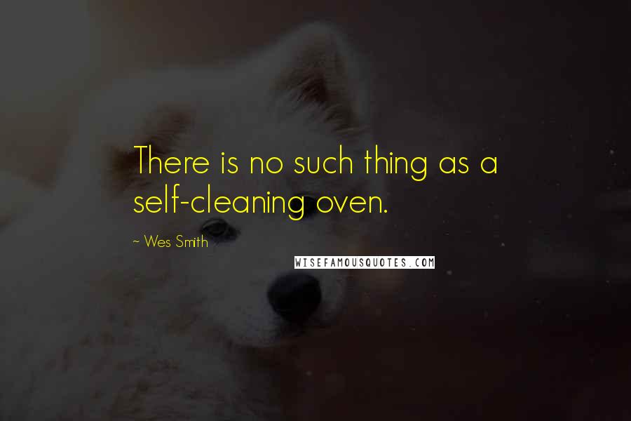 Wes Smith Quotes: There is no such thing as a self-cleaning oven.