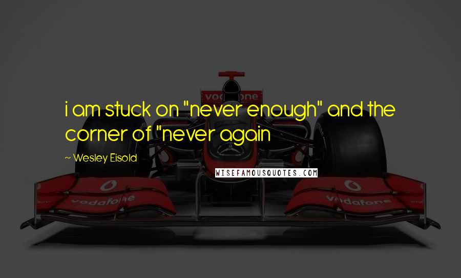 Wesley Eisold Quotes: i am stuck on "never enough" and the corner of "never again