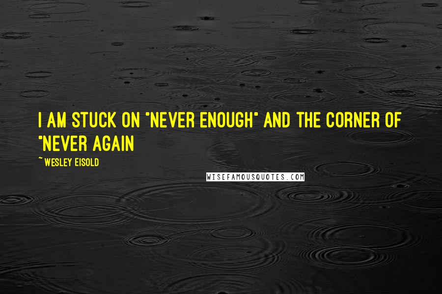 Wesley Eisold Quotes: i am stuck on "never enough" and the corner of "never again