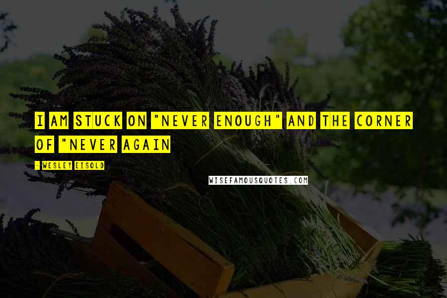 Wesley Eisold Quotes: i am stuck on "never enough" and the corner of "never again