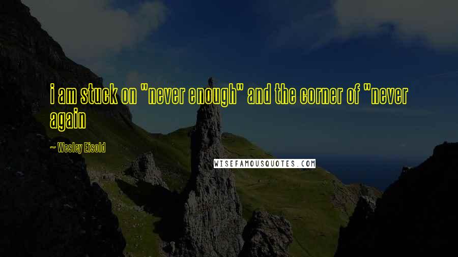 Wesley Eisold Quotes: i am stuck on "never enough" and the corner of "never again