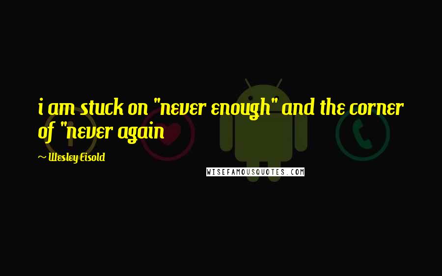 Wesley Eisold Quotes: i am stuck on "never enough" and the corner of "never again