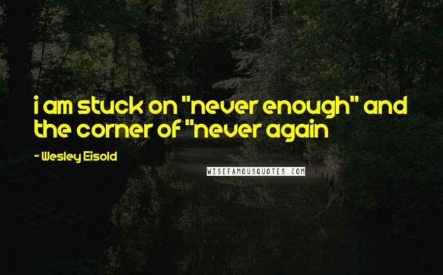 Wesley Eisold Quotes: i am stuck on "never enough" and the corner of "never again