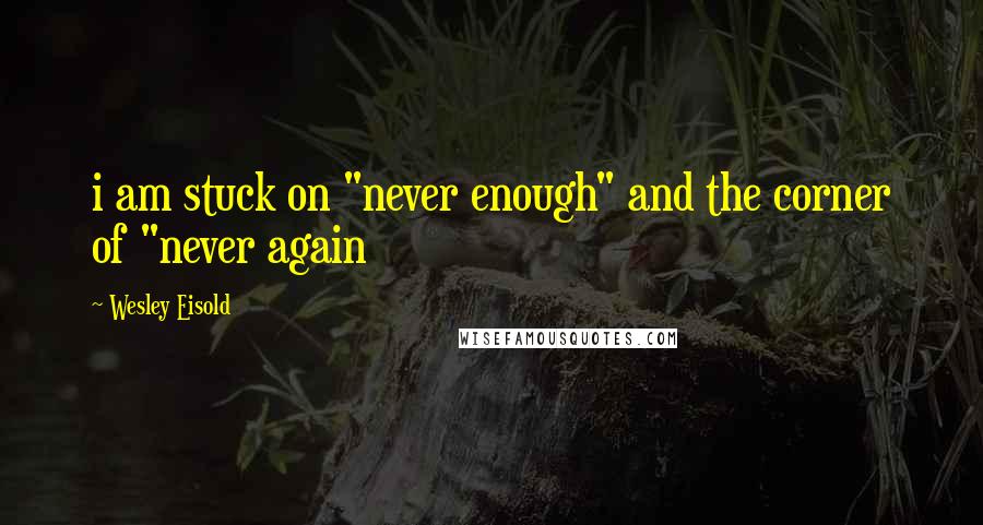 Wesley Eisold Quotes: i am stuck on "never enough" and the corner of "never again