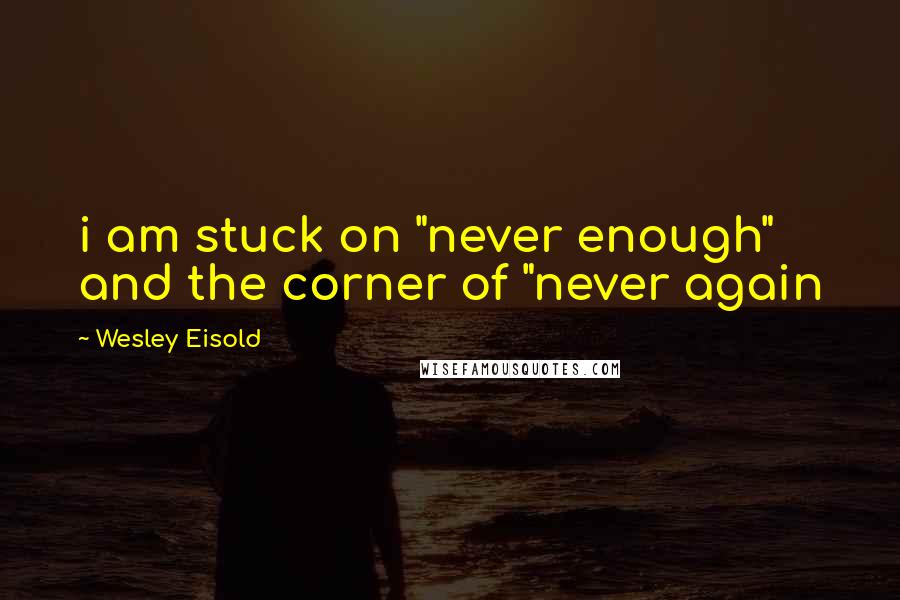 Wesley Eisold Quotes: i am stuck on "never enough" and the corner of "never again