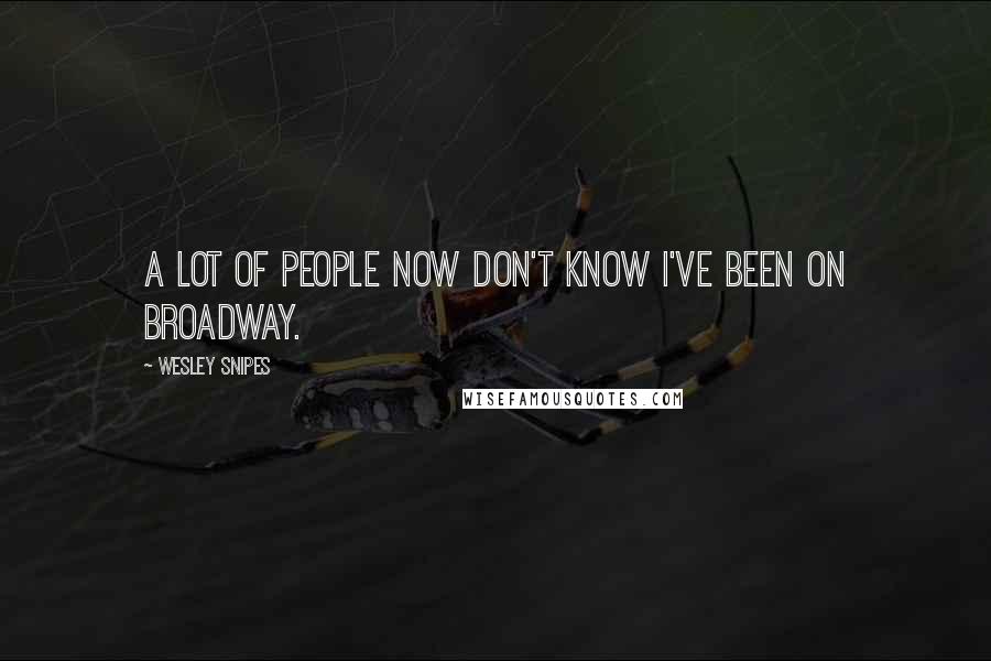 Wesley Snipes Quotes: A lot of people now don't know I've been on Broadway.