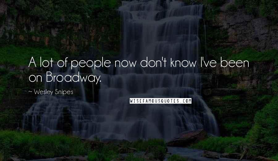 Wesley Snipes Quotes: A lot of people now don't know I've been on Broadway.