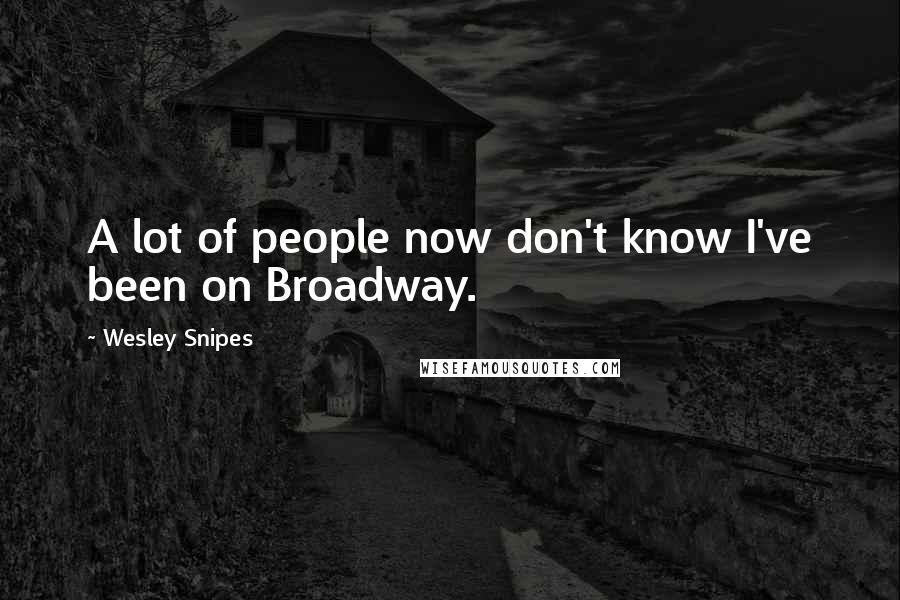 Wesley Snipes Quotes: A lot of people now don't know I've been on Broadway.