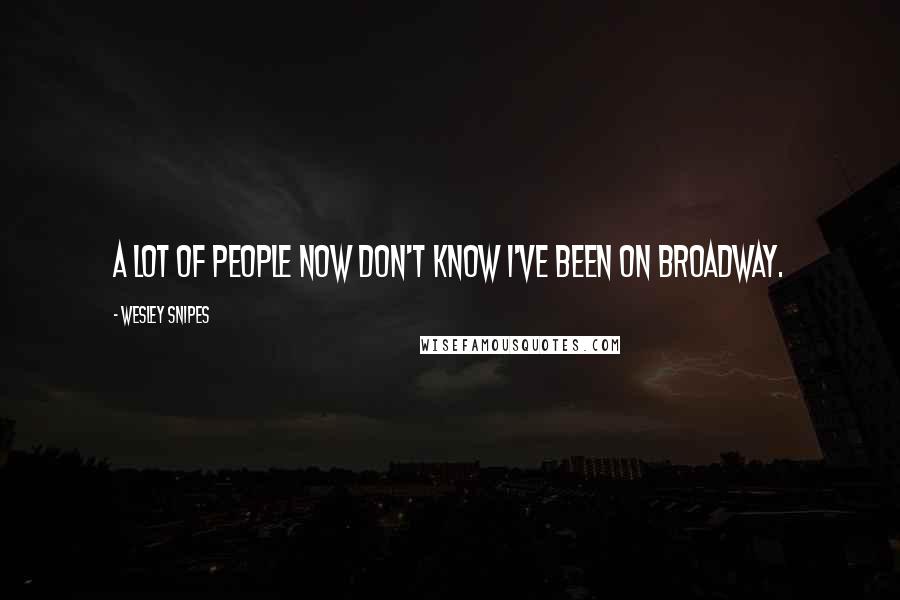 Wesley Snipes Quotes: A lot of people now don't know I've been on Broadway.