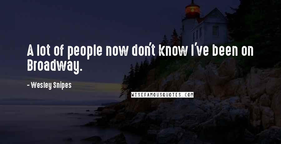 Wesley Snipes Quotes: A lot of people now don't know I've been on Broadway.