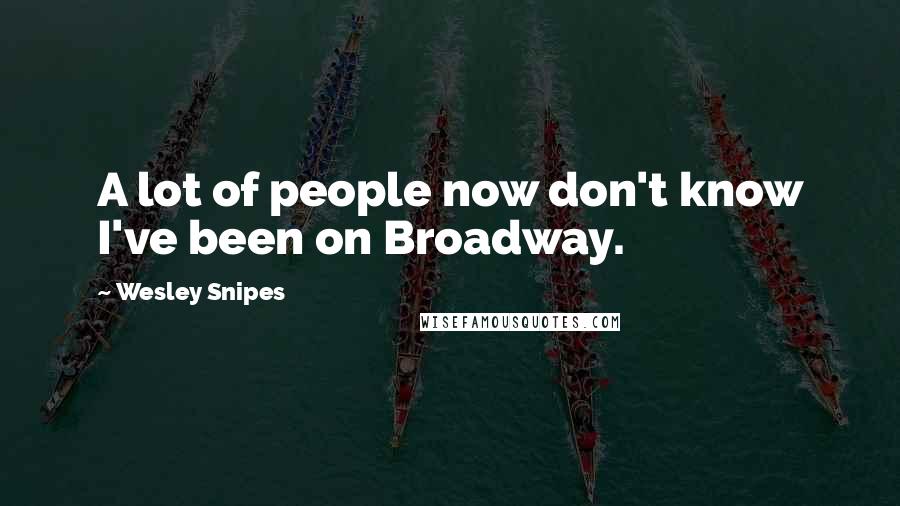Wesley Snipes Quotes: A lot of people now don't know I've been on Broadway.