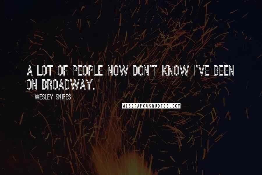 Wesley Snipes Quotes: A lot of people now don't know I've been on Broadway.