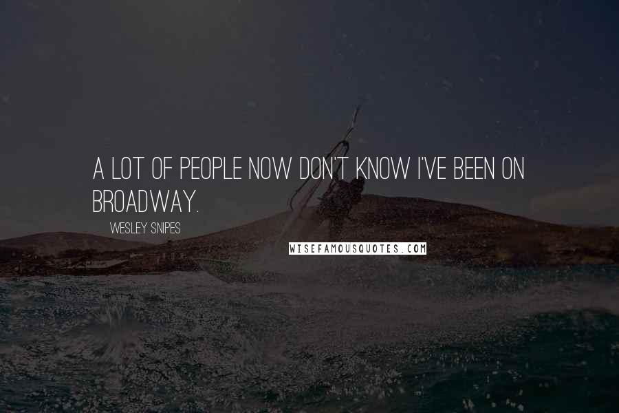 Wesley Snipes Quotes: A lot of people now don't know I've been on Broadway.