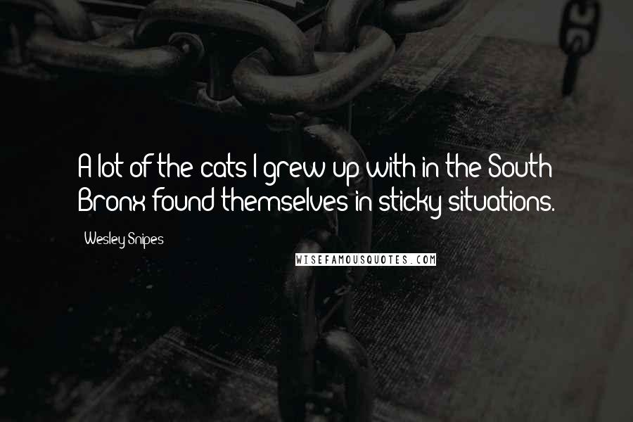 Wesley Snipes Quotes: A lot of the cats I grew up with in the South Bronx found themselves in sticky situations.