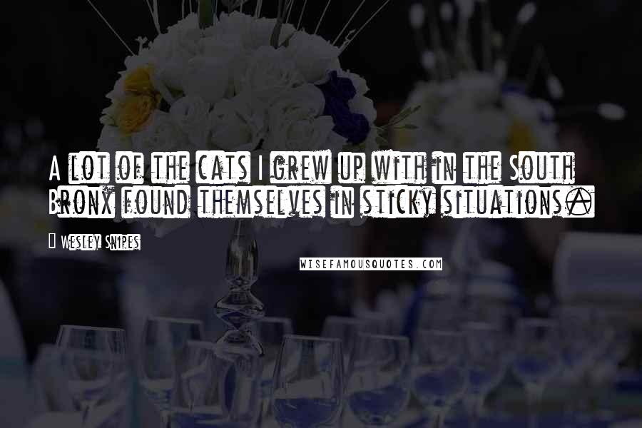 Wesley Snipes Quotes: A lot of the cats I grew up with in the South Bronx found themselves in sticky situations.