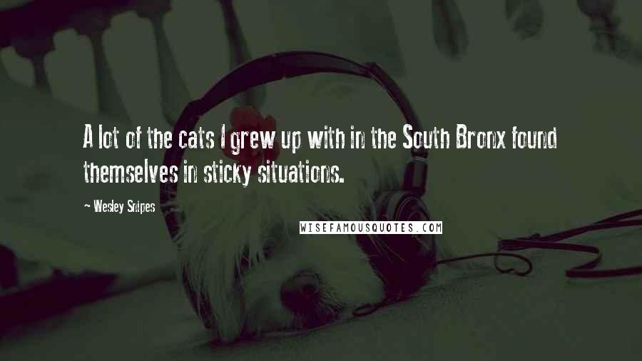 Wesley Snipes Quotes: A lot of the cats I grew up with in the South Bronx found themselves in sticky situations.