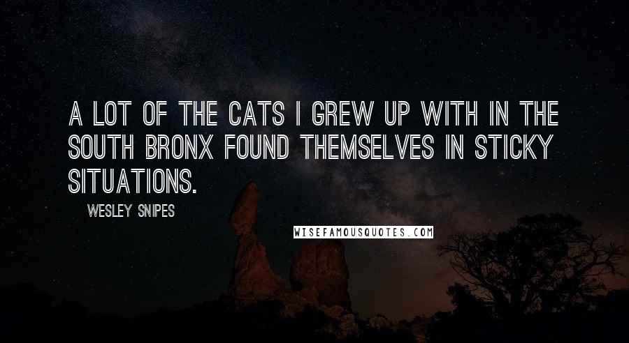 Wesley Snipes Quotes: A lot of the cats I grew up with in the South Bronx found themselves in sticky situations.