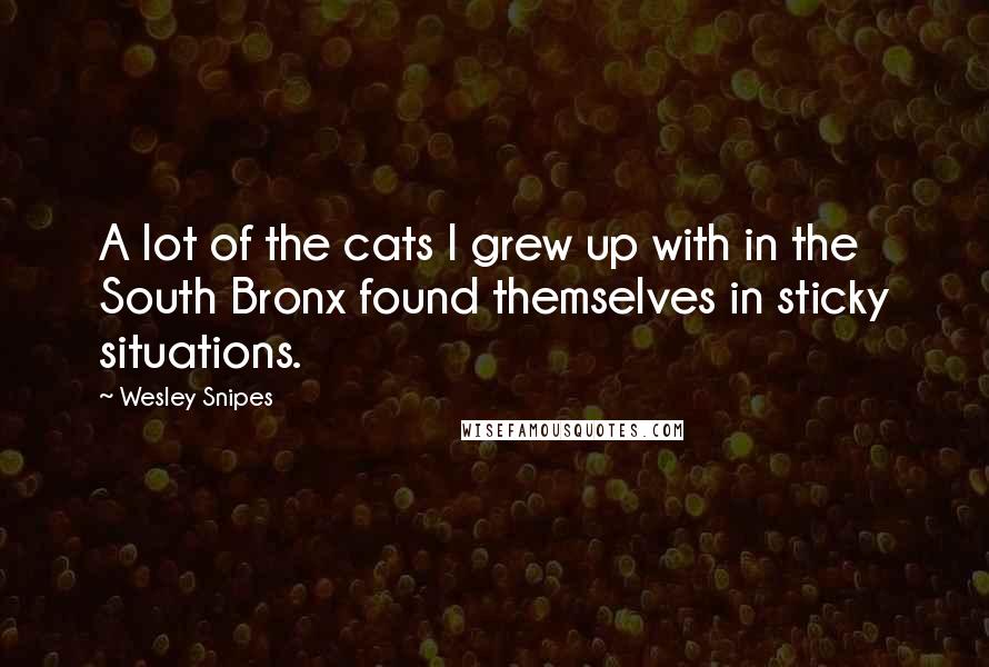 Wesley Snipes Quotes: A lot of the cats I grew up with in the South Bronx found themselves in sticky situations.