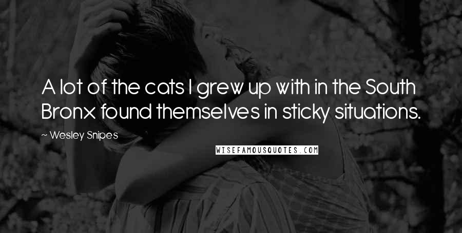 Wesley Snipes Quotes: A lot of the cats I grew up with in the South Bronx found themselves in sticky situations.