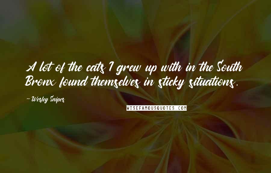 Wesley Snipes Quotes: A lot of the cats I grew up with in the South Bronx found themselves in sticky situations.