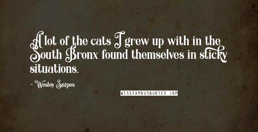 Wesley Snipes Quotes: A lot of the cats I grew up with in the South Bronx found themselves in sticky situations.