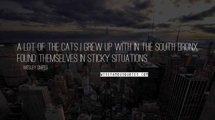 Wesley Snipes Quotes: A lot of the cats I grew up with in the South Bronx found themselves in sticky situations.