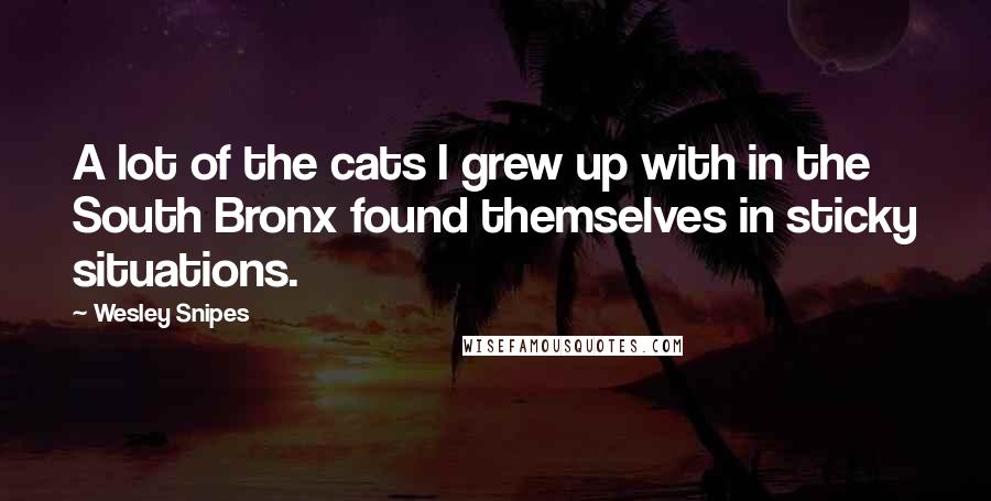 Wesley Snipes Quotes: A lot of the cats I grew up with in the South Bronx found themselves in sticky situations.