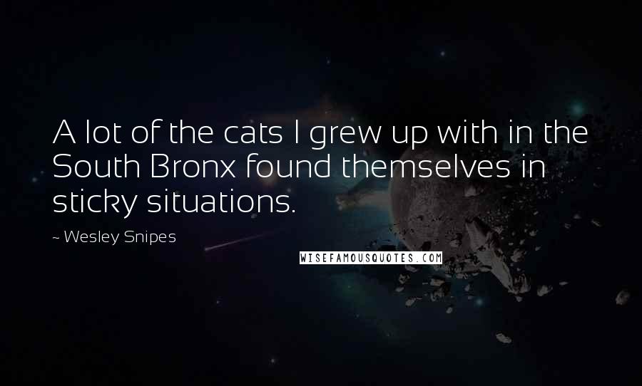 Wesley Snipes Quotes: A lot of the cats I grew up with in the South Bronx found themselves in sticky situations.