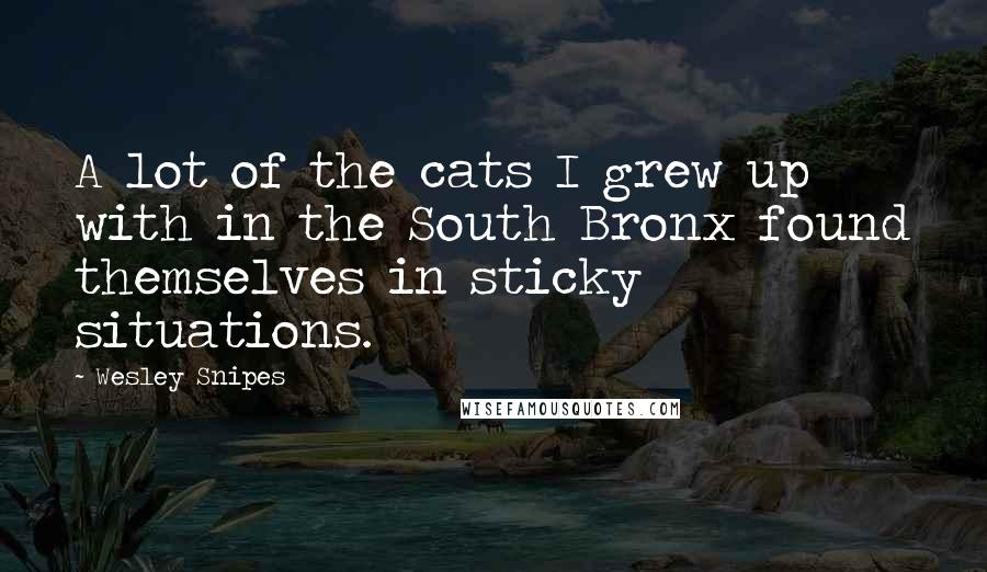 Wesley Snipes Quotes: A lot of the cats I grew up with in the South Bronx found themselves in sticky situations.