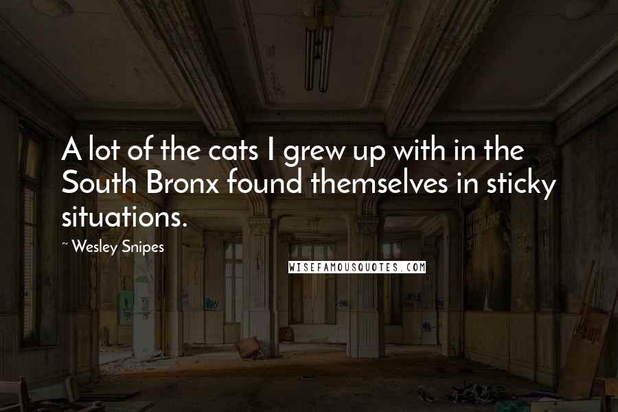 Wesley Snipes Quotes: A lot of the cats I grew up with in the South Bronx found themselves in sticky situations.