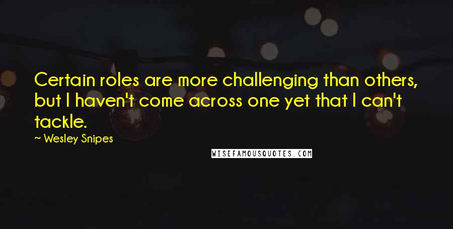 Wesley Snipes Quotes: Certain roles are more challenging than others, but I haven't come across one yet that I can't tackle.