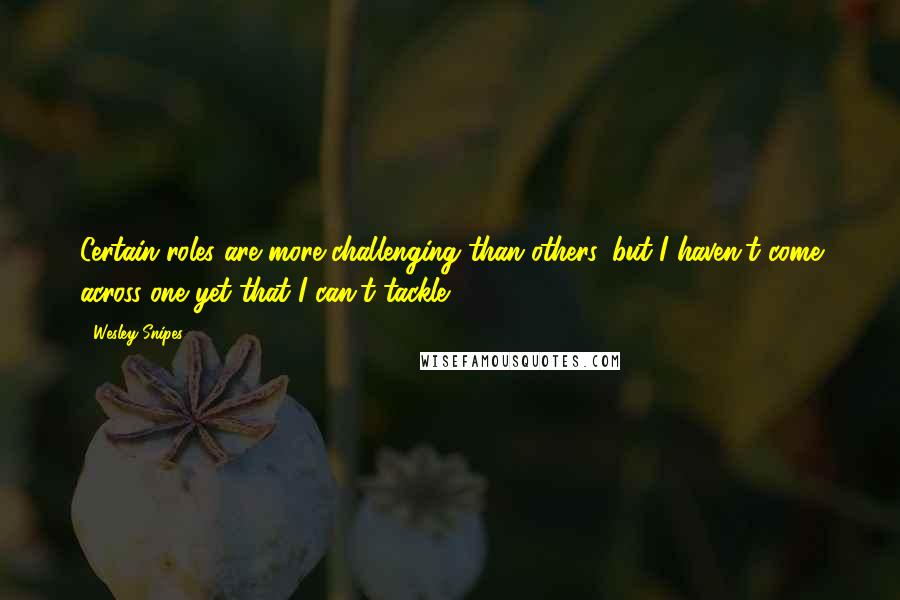 Wesley Snipes Quotes: Certain roles are more challenging than others, but I haven't come across one yet that I can't tackle.