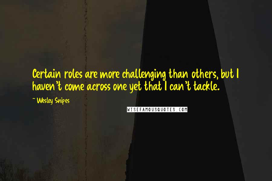 Wesley Snipes Quotes: Certain roles are more challenging than others, but I haven't come across one yet that I can't tackle.